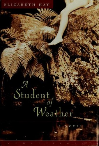 Copertina di L' apprendista del vento