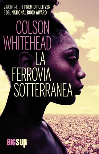 Copertina di La ferrovia sotterranea